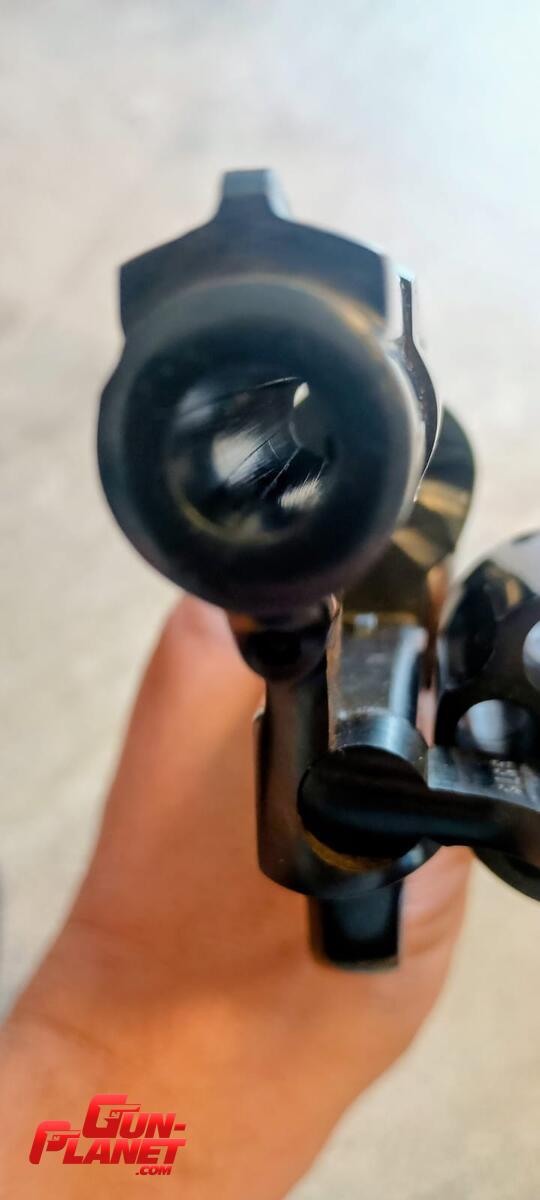 Taurus 82