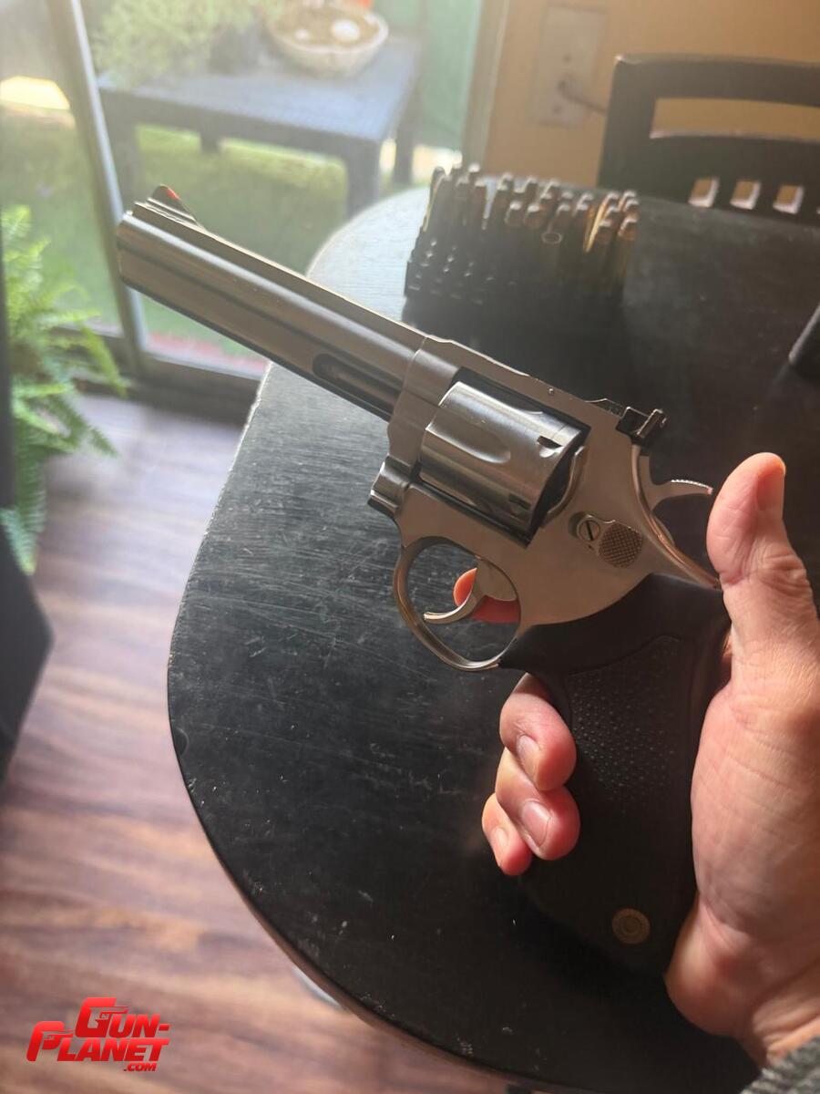 Taurus 669