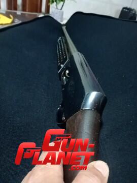 Browning 2000