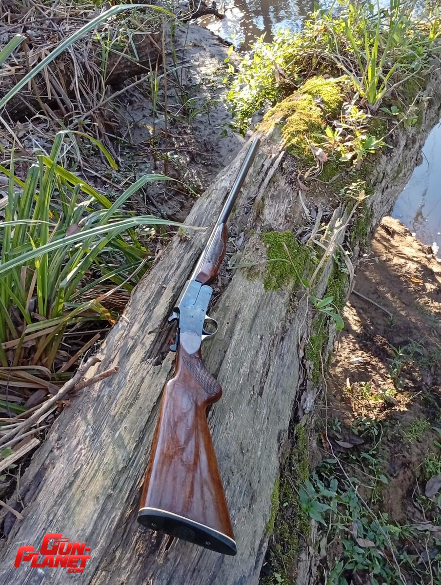 Saurio 300 cal 16