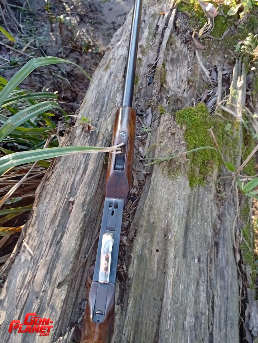 Saurio 300 cal 16
