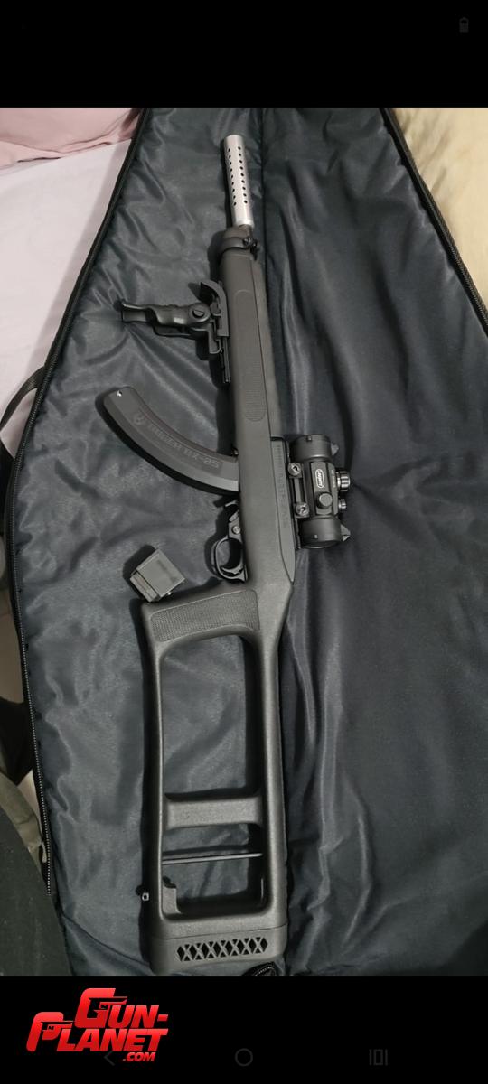 Ruger 10/22 22 LR