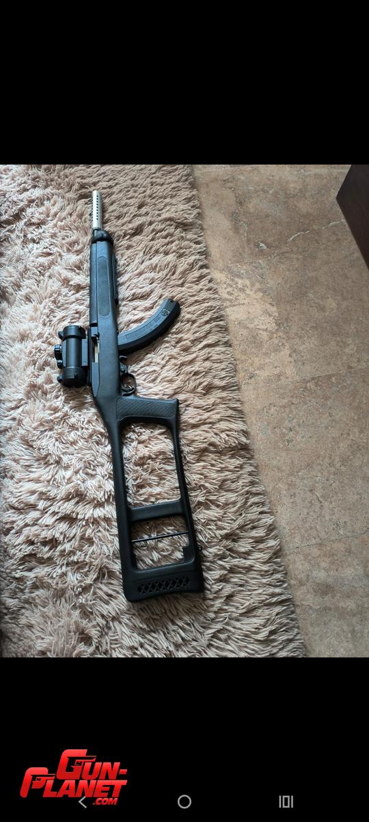 Ruger 10/22