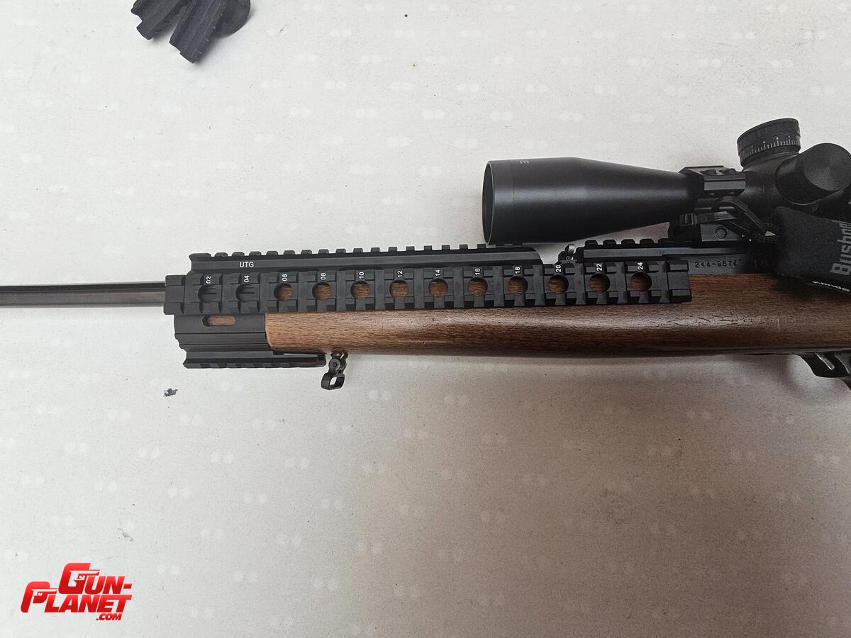 Ruger 10/22