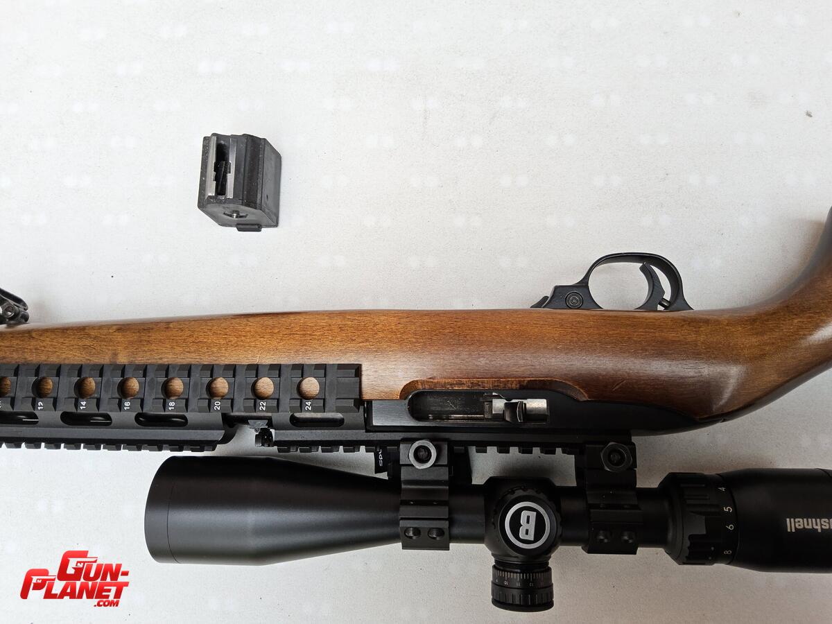 Ruger 10/22