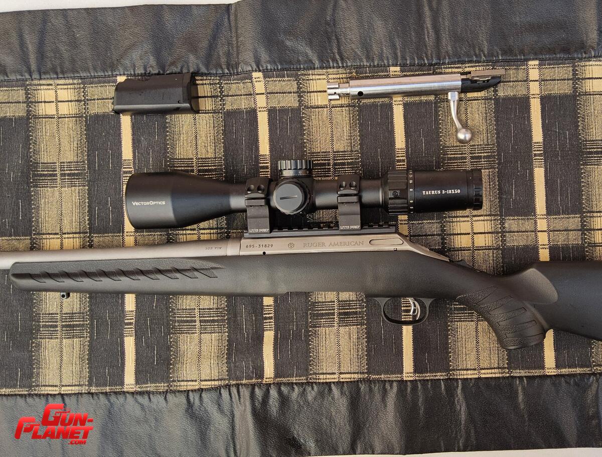 Ruger American 308