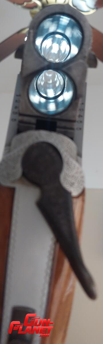 Franchi X