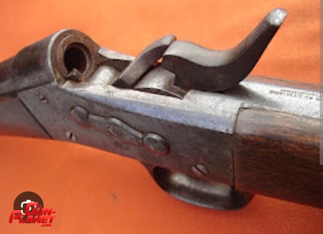 COMPRO Remington Rolling Block (Patria) modelo 1866