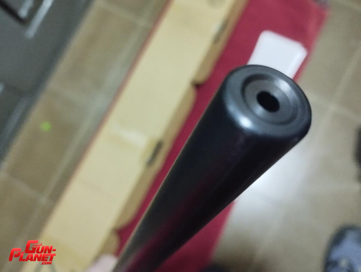 CZ 452 cal 17 HMR