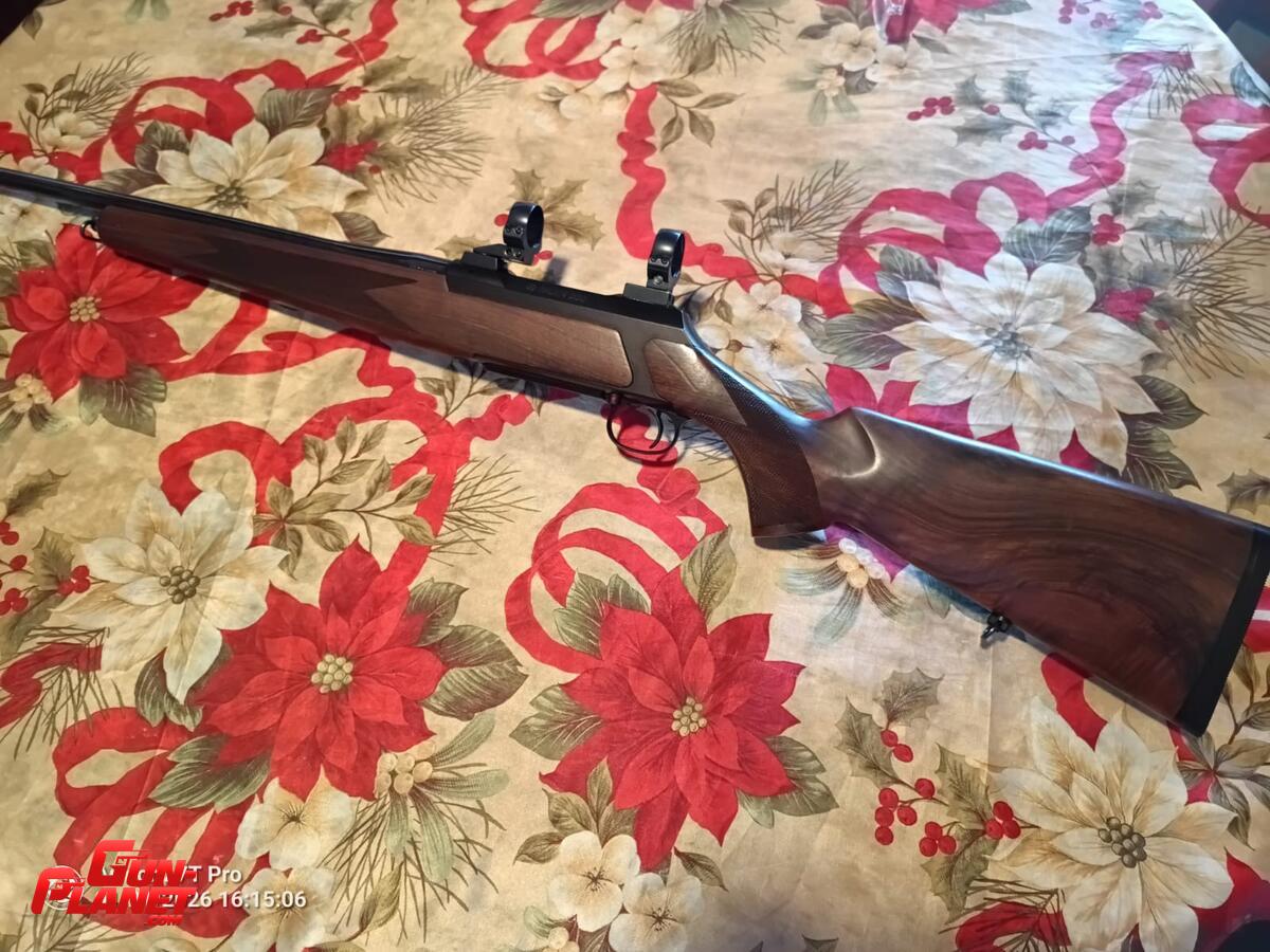 Sauer 200