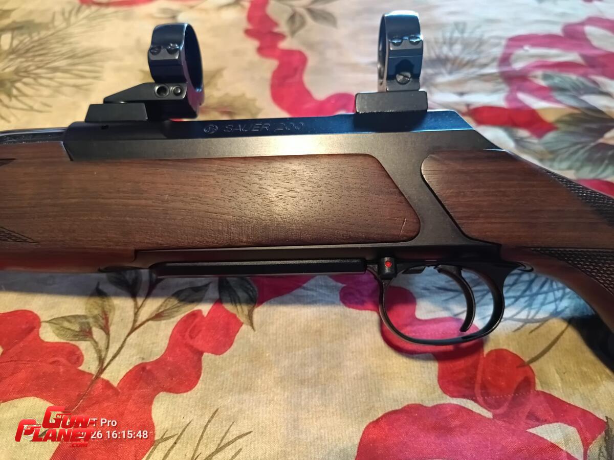 Sauer 200