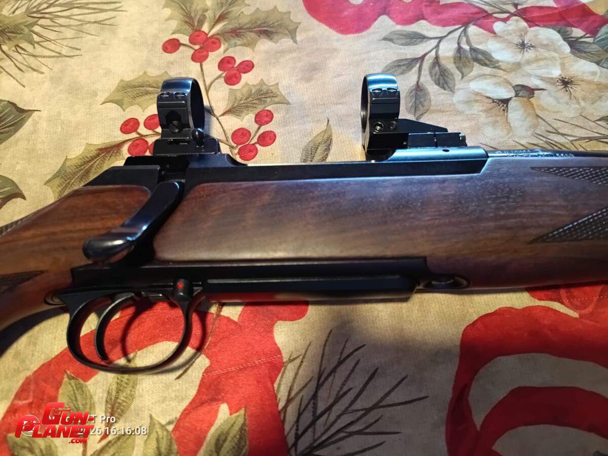 Sauer 200