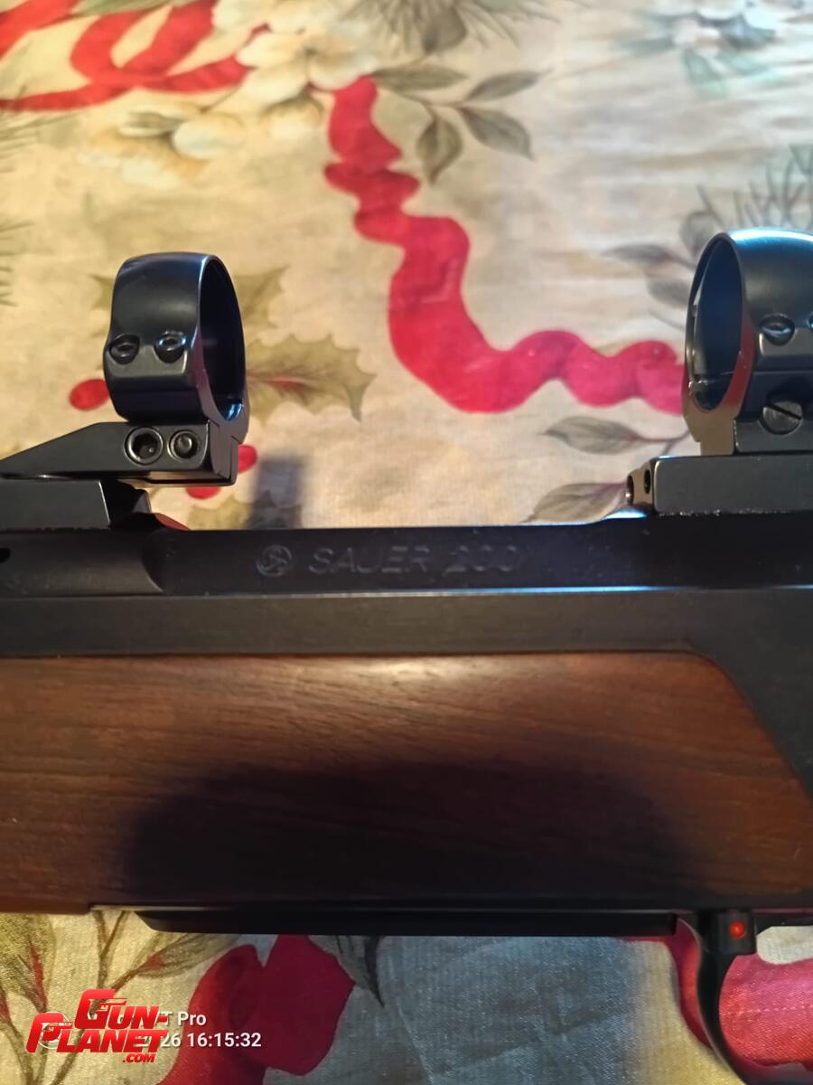 Sauer 200