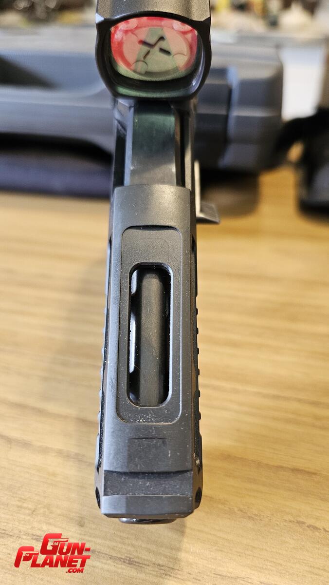 Sig Sauer P320 agx pro custom works