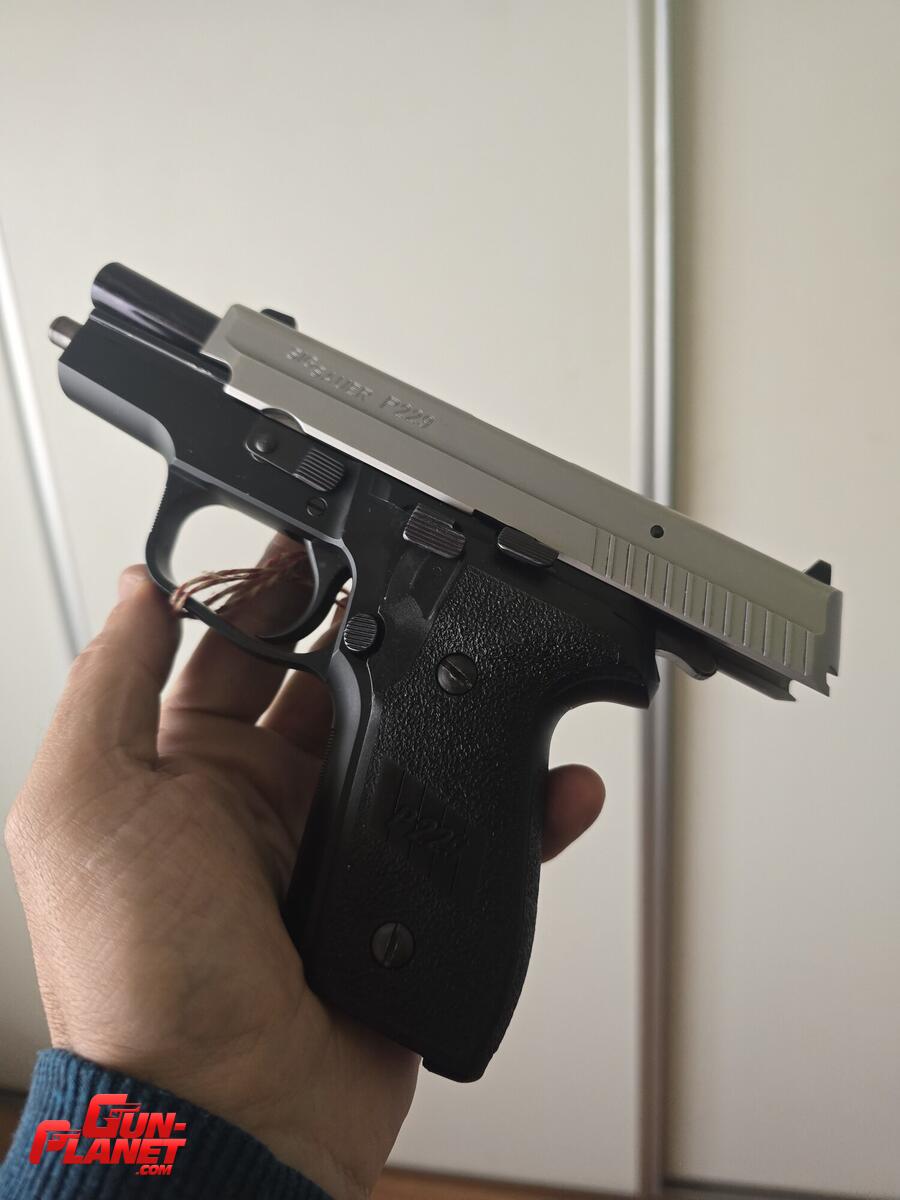 Sig Sauer P229