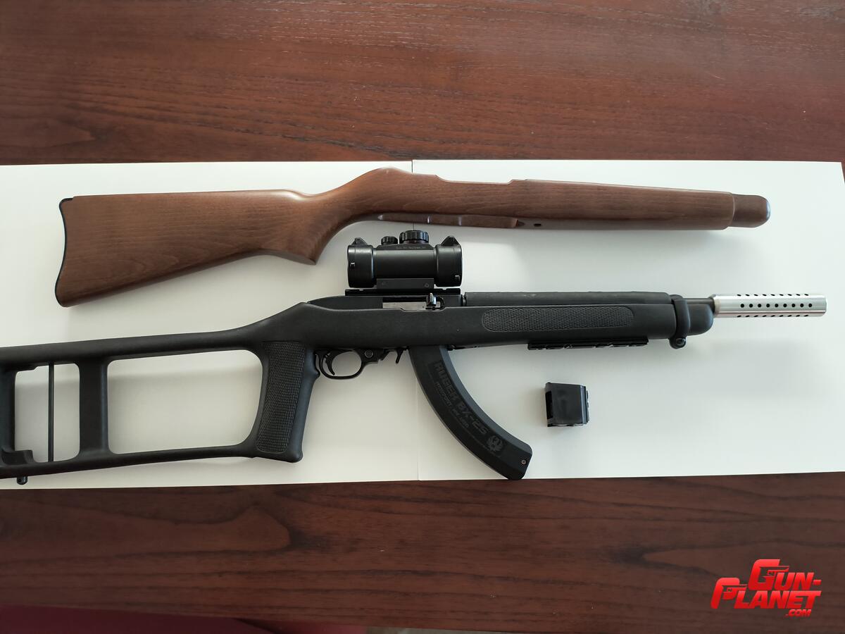 Ruger 10/22 
