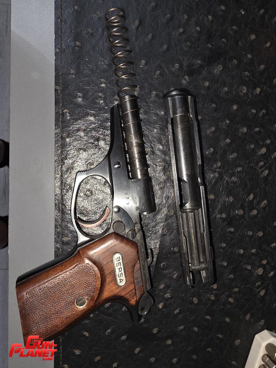 Bersa 383