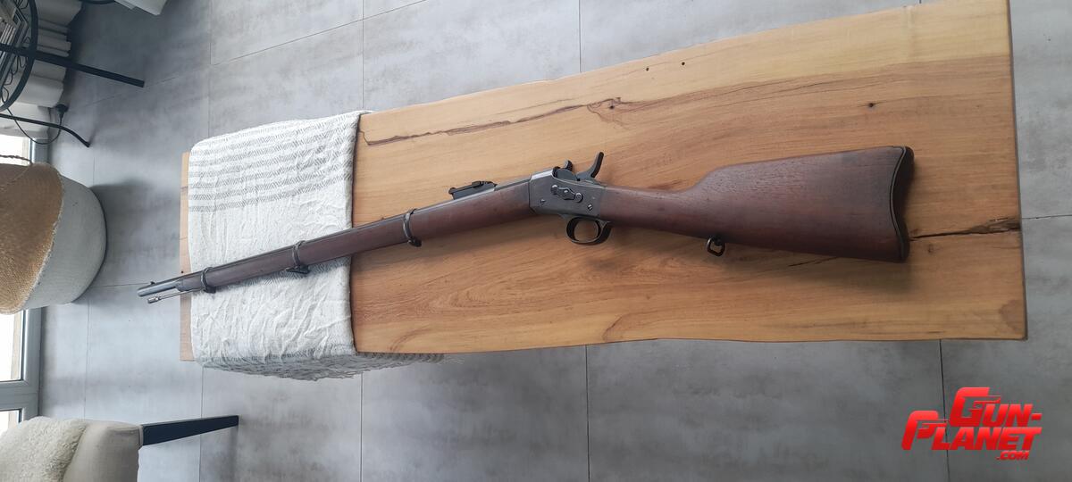 Remington Patria (rolling block) cal 43