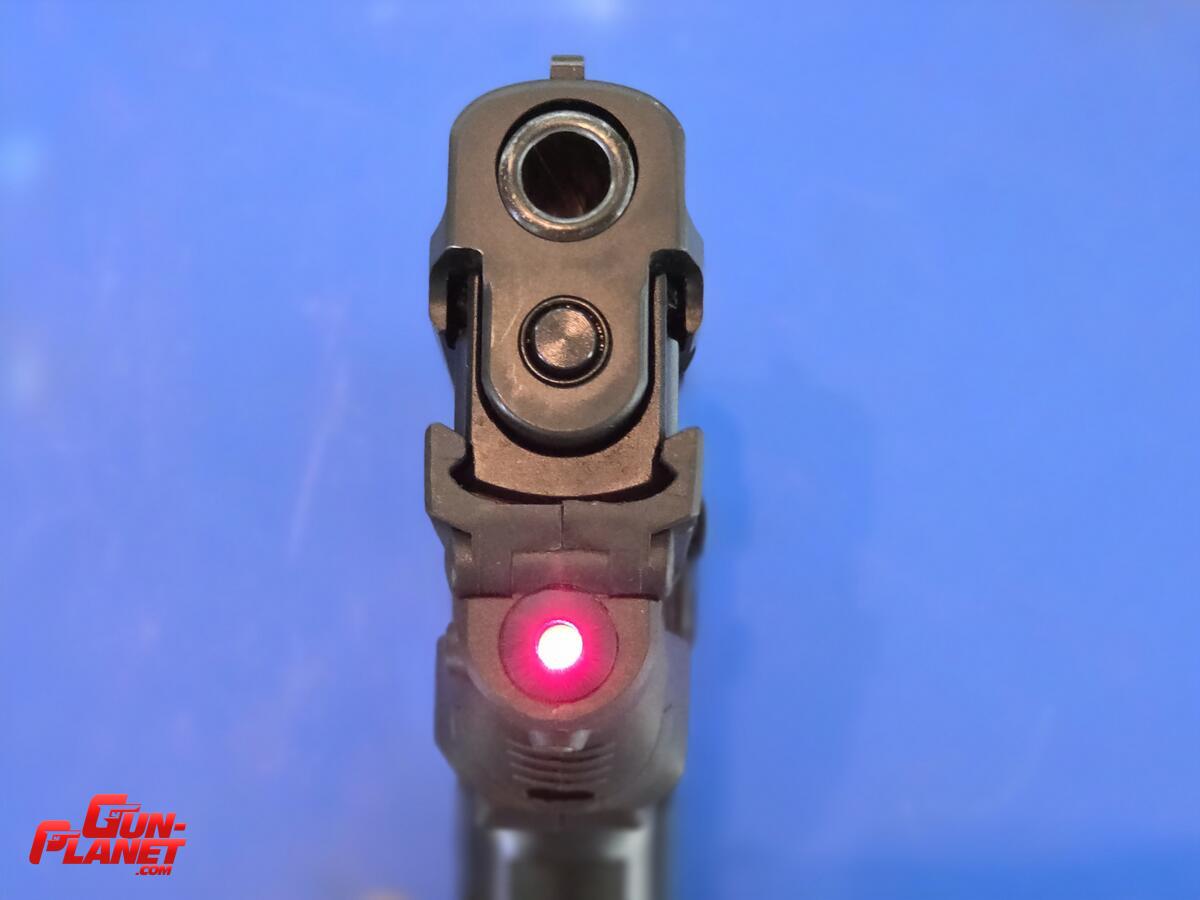 Sig Sauer P229