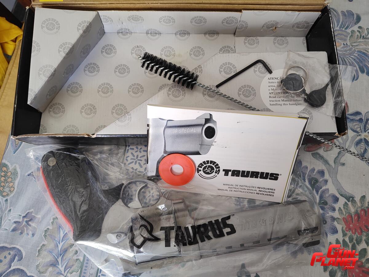Taurus Raging Bull 
