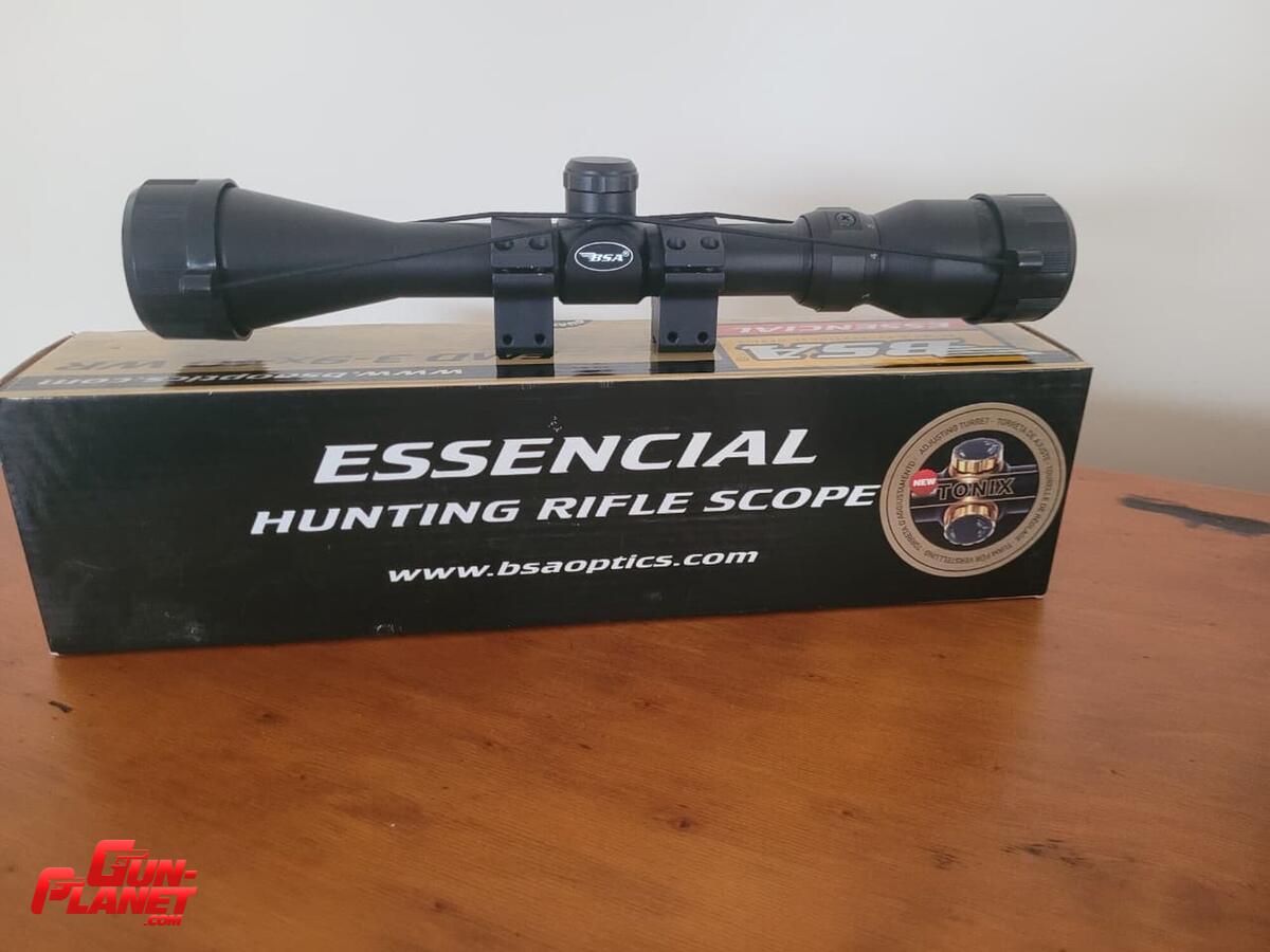 Ruger 10/22