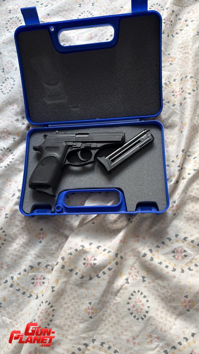 Bersa Thunder 22