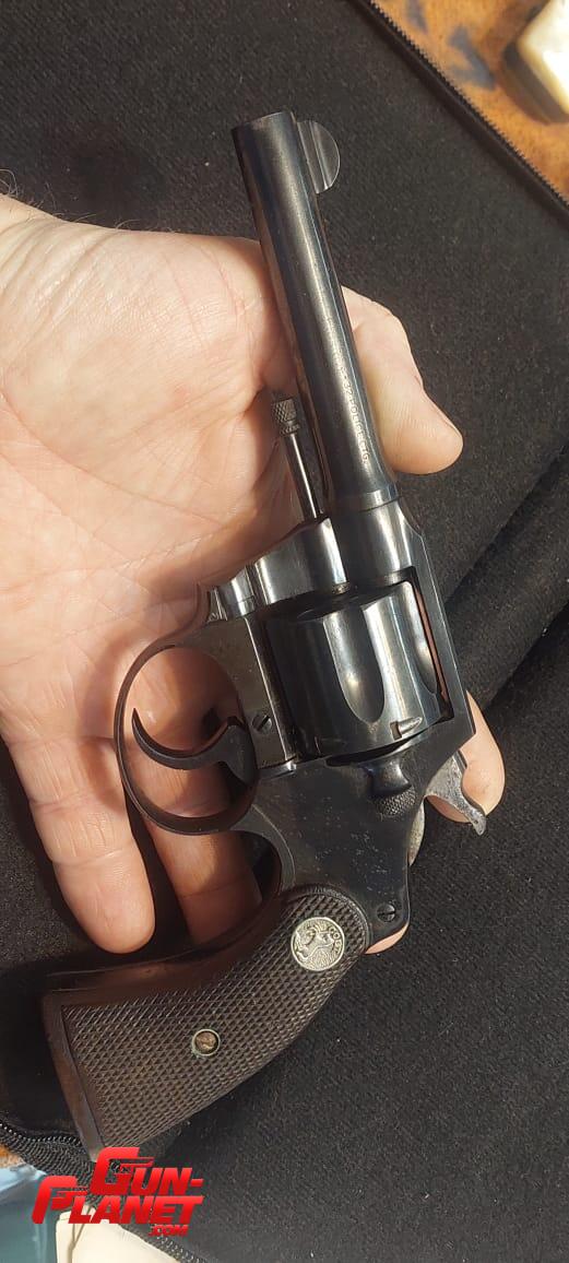 Colt police positive