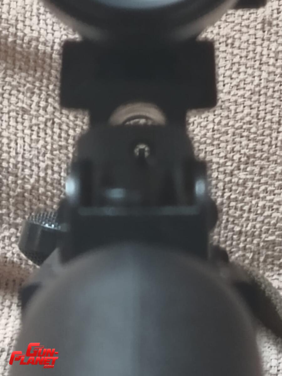 GSG 5 Cal .22 LR