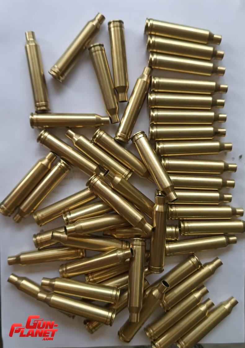 Remington LOTE DE 50 VAINAS DE 7 MM REM MAG PRIMERA TIRADA