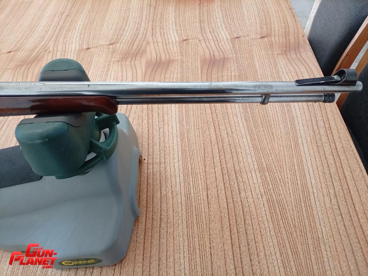 Saurio 62