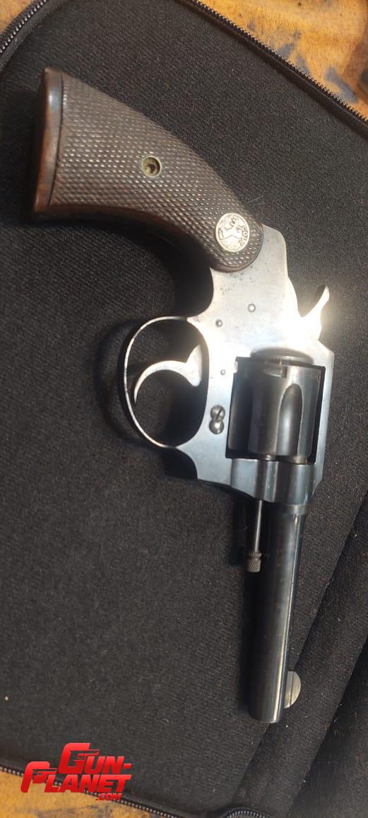 Colt police positive