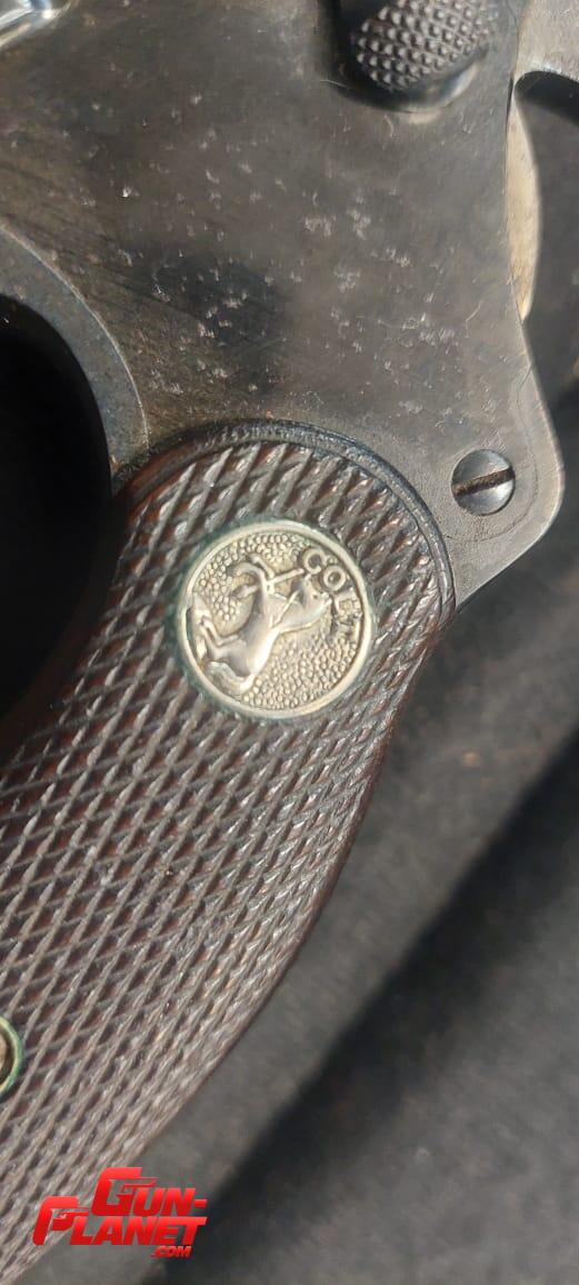 Colt police positive