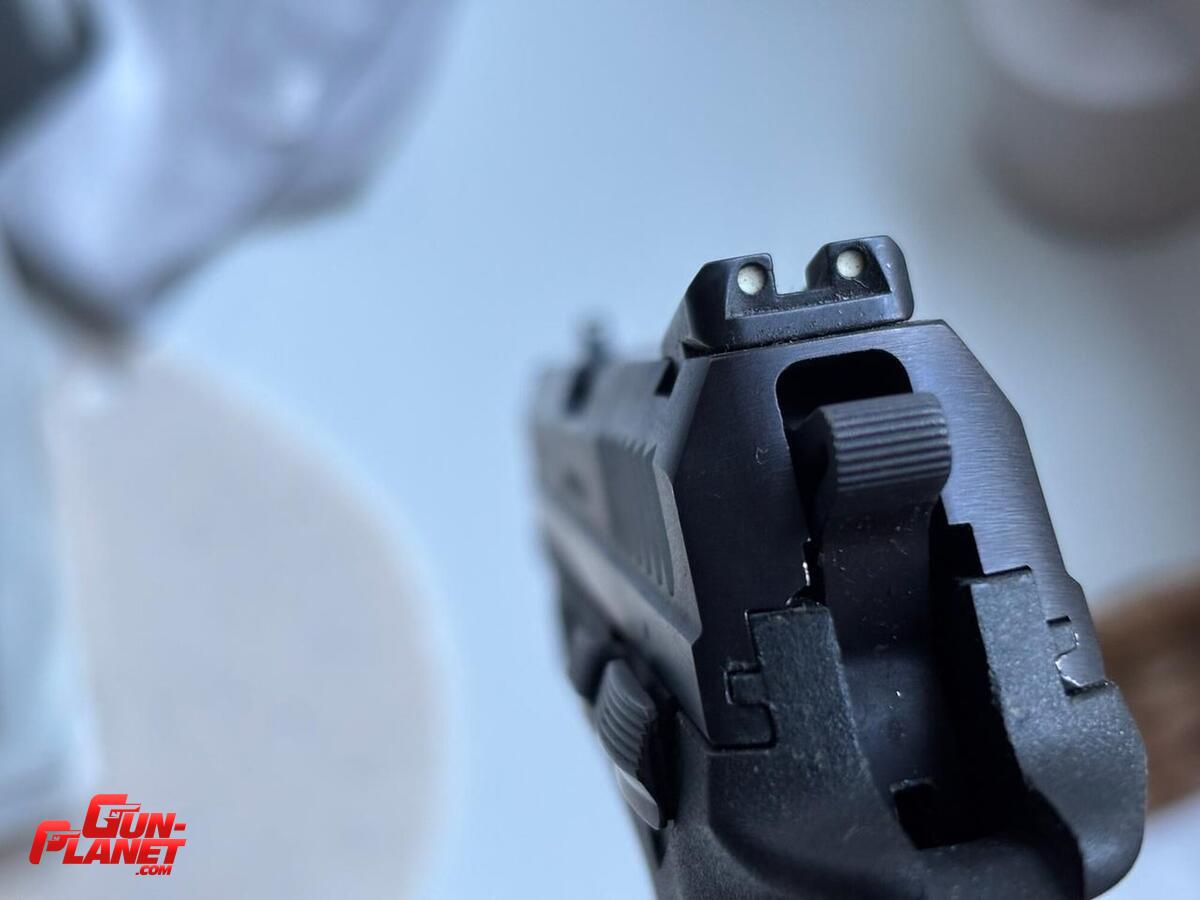Taurus PT809E