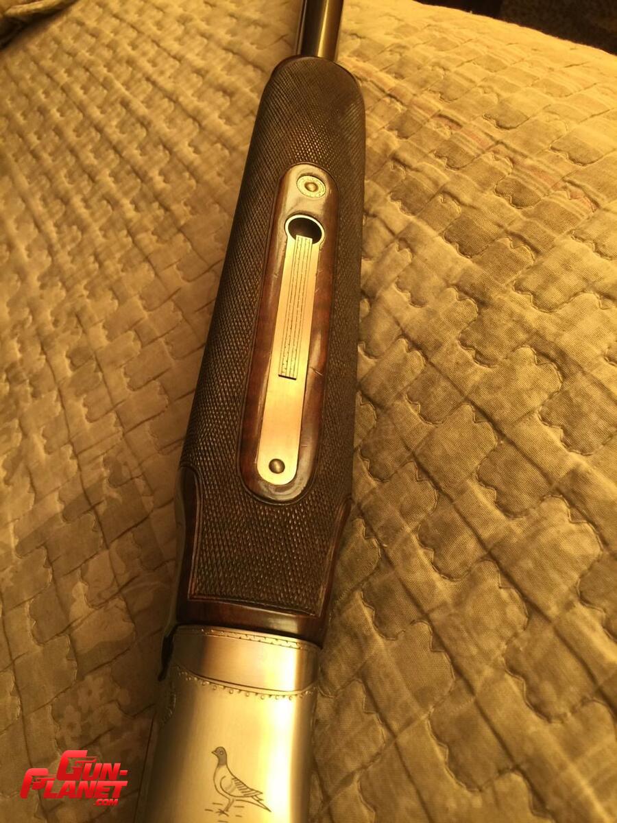 Winchester Pigeon grade 
