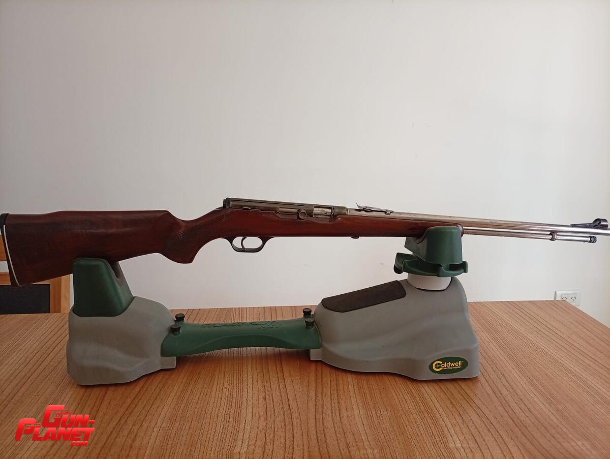 Saurio 62