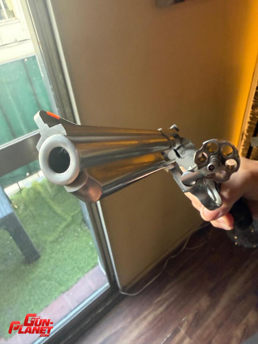 Taurus 669