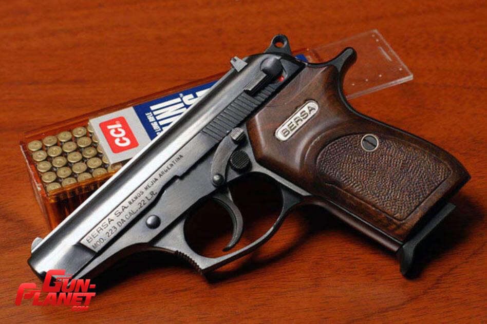 COMPRO Bersa 223