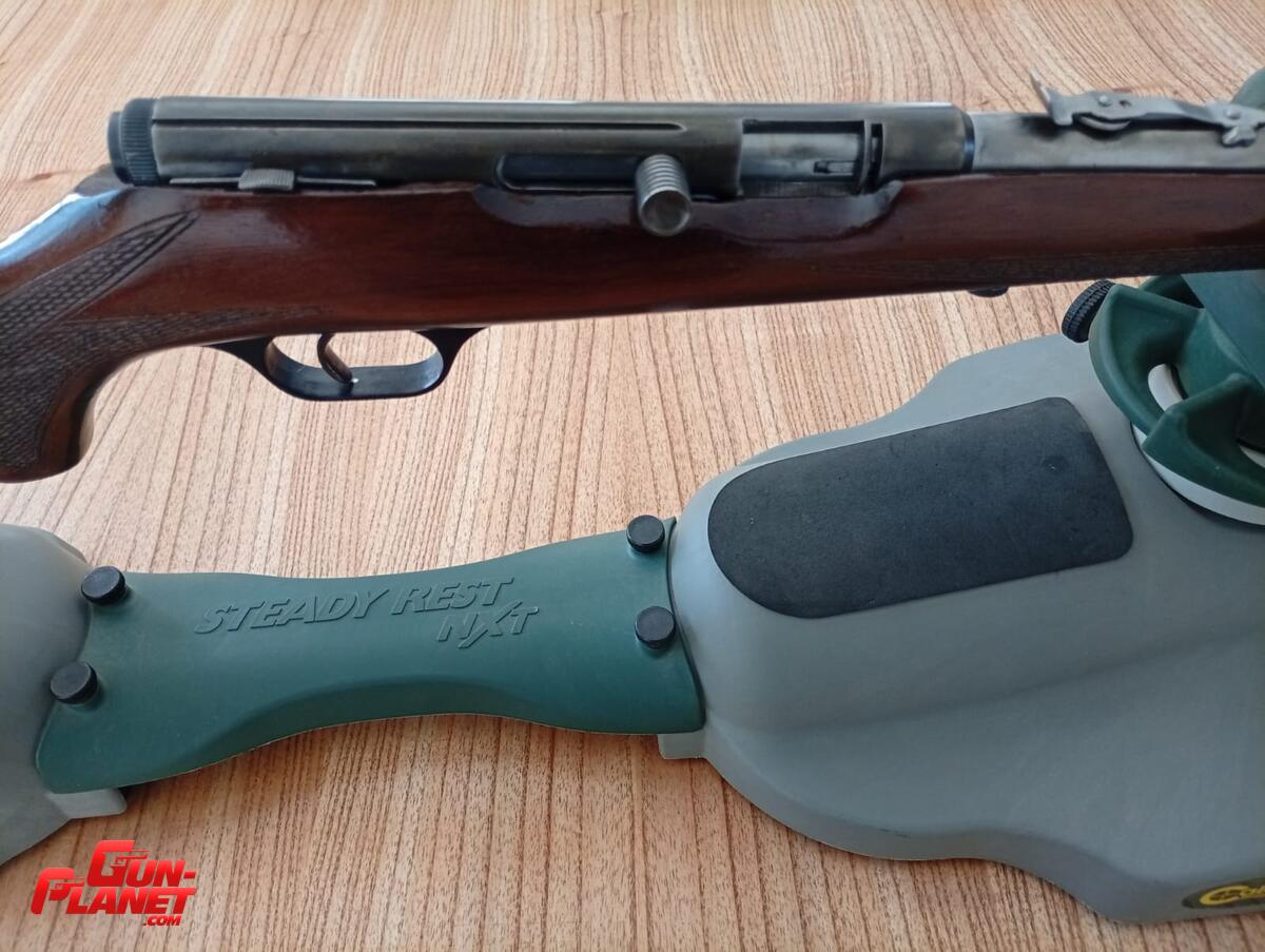 Saurio 62