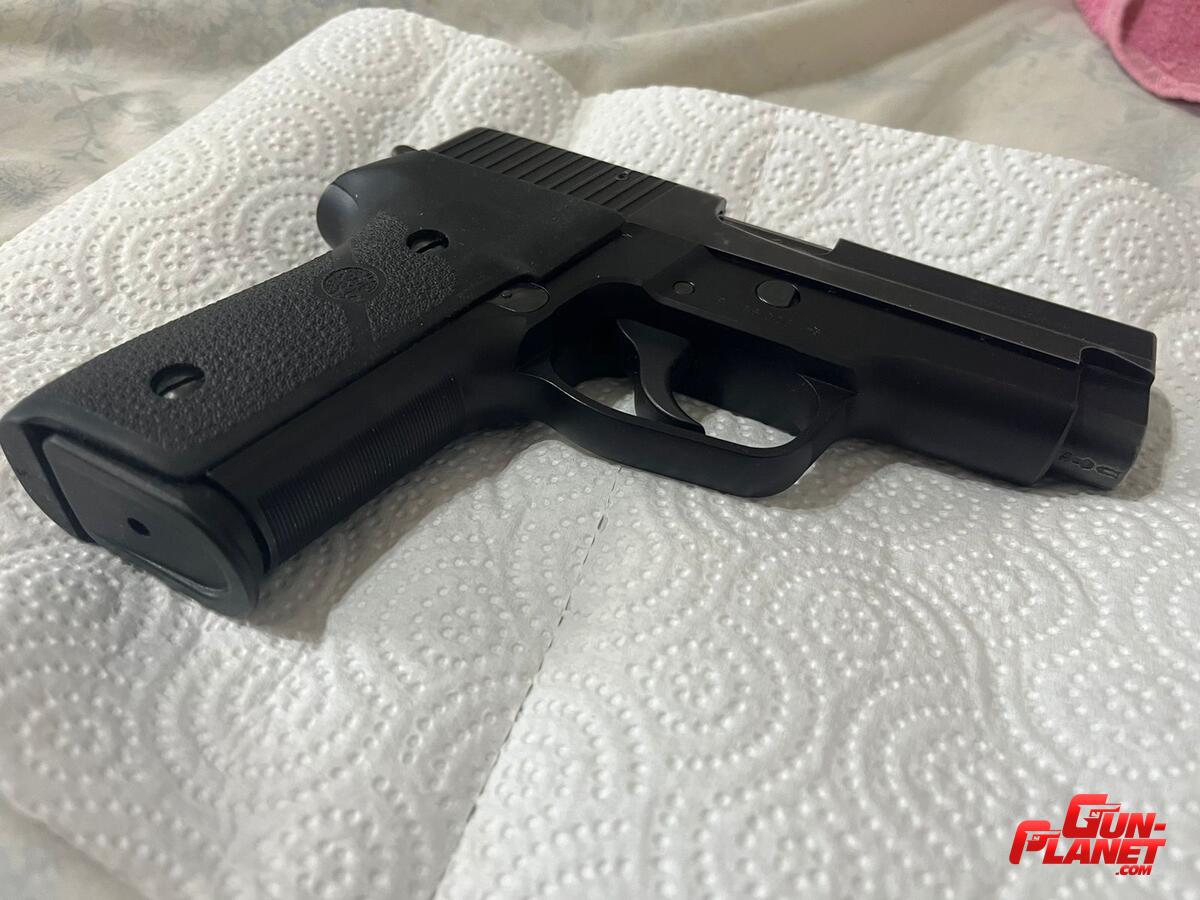 Sig Sauer P228 