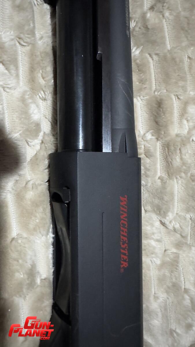 Winchester SXP