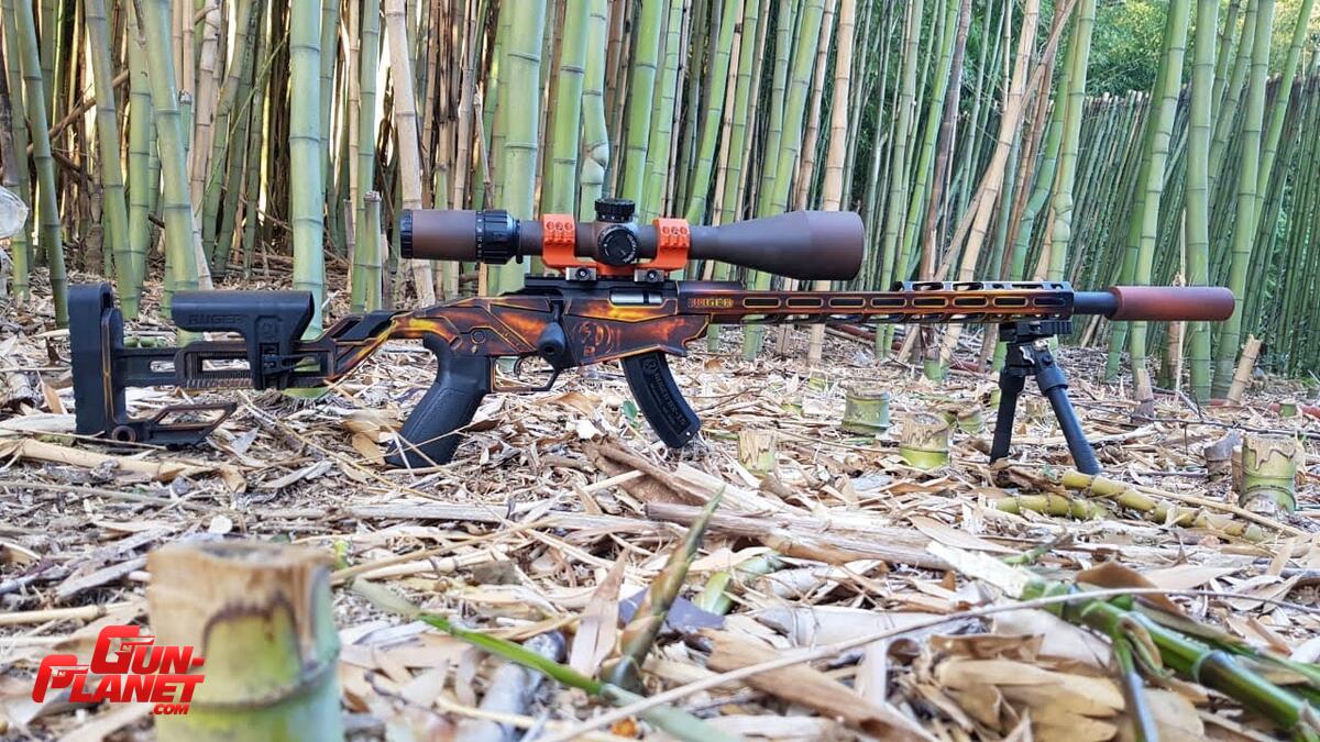 Ruger Precision 22 LR