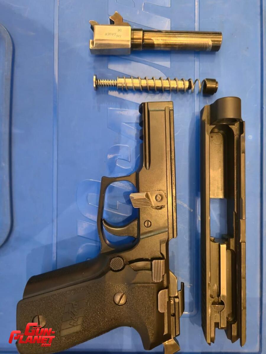Sig Sauer P229