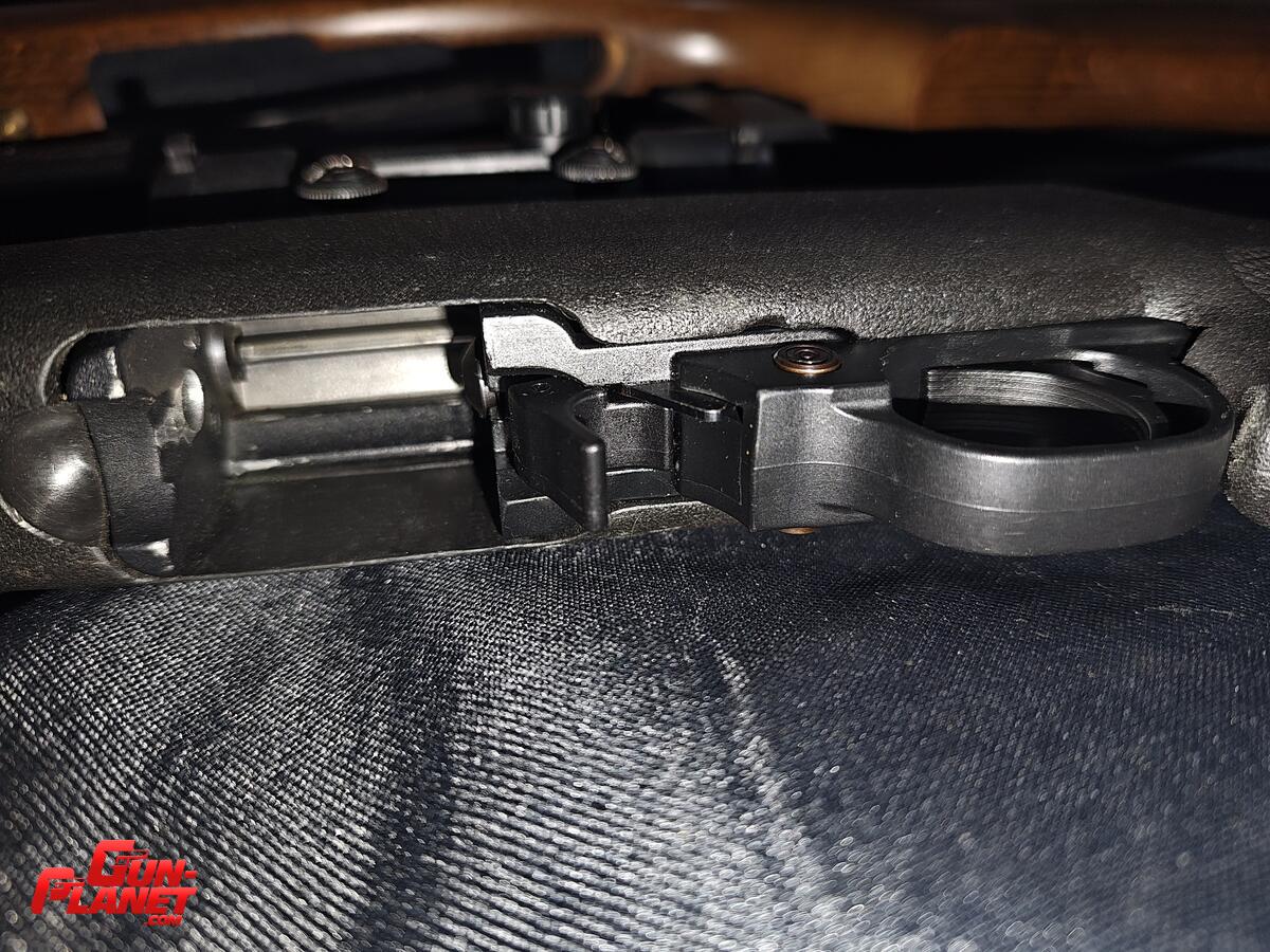 Ruger 10/22