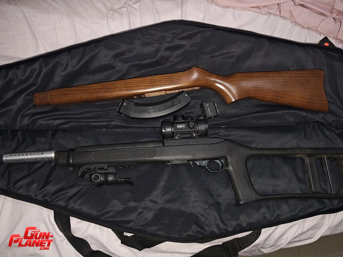 Ruger 10/22