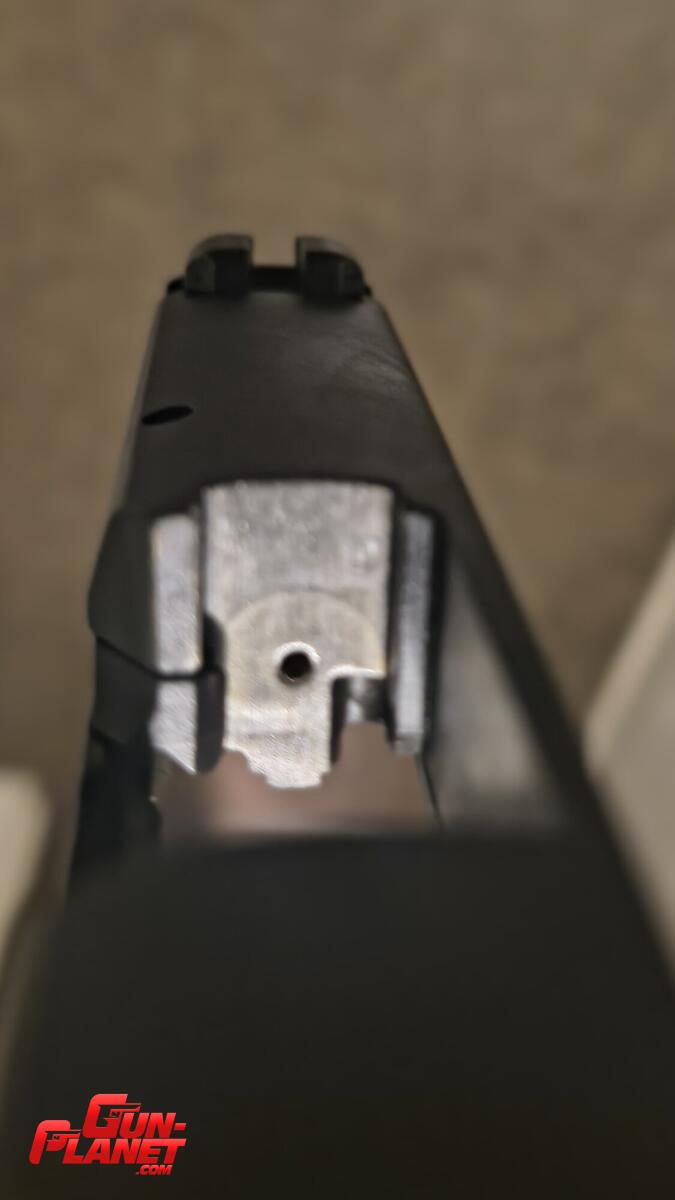Sig Sauer P365 Nitron
