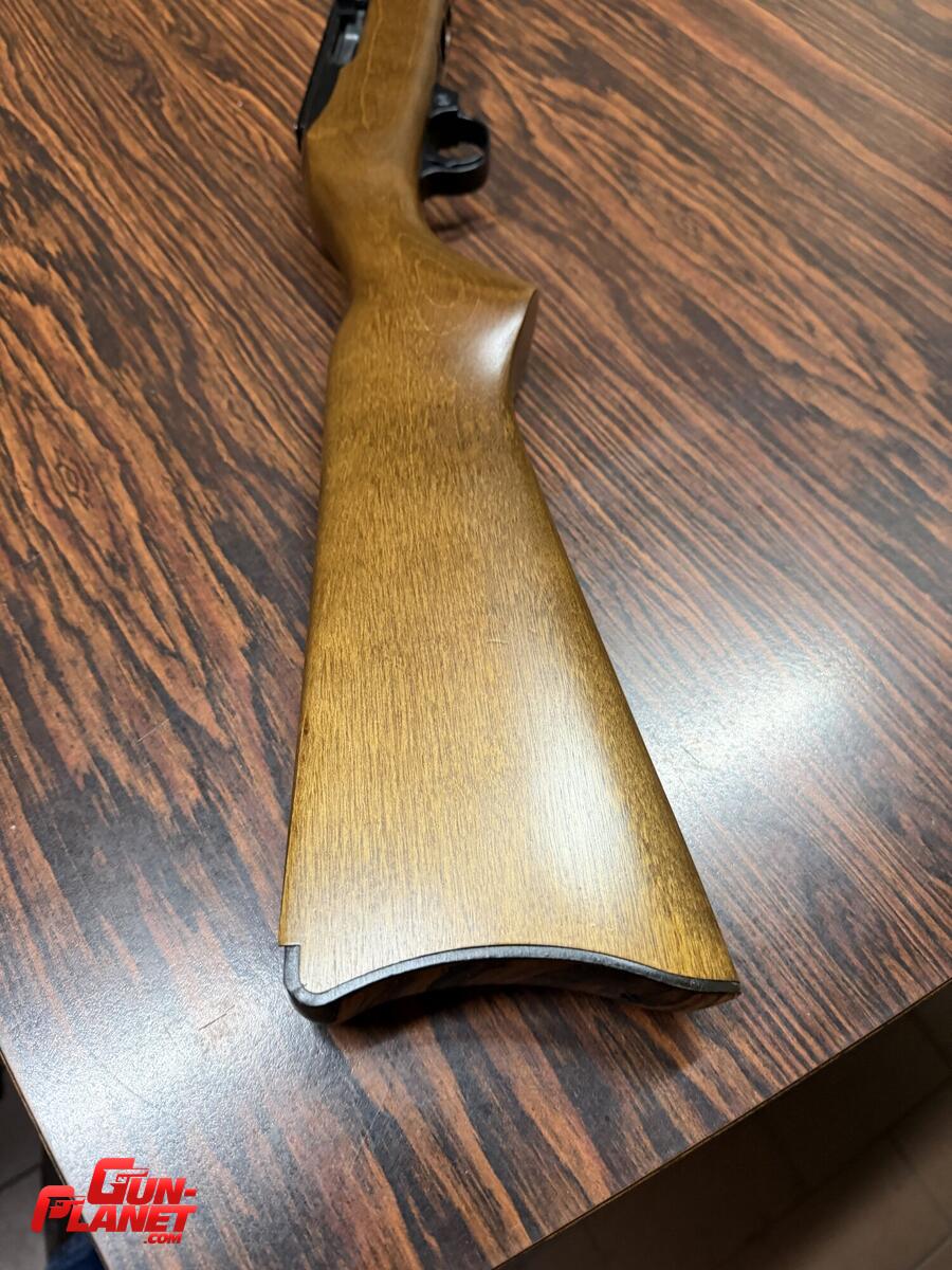 Ruger 10/22