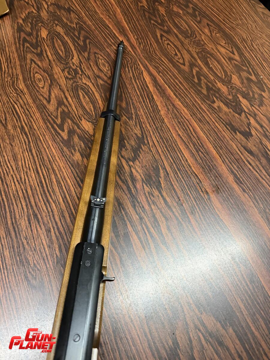 Ruger 10/22