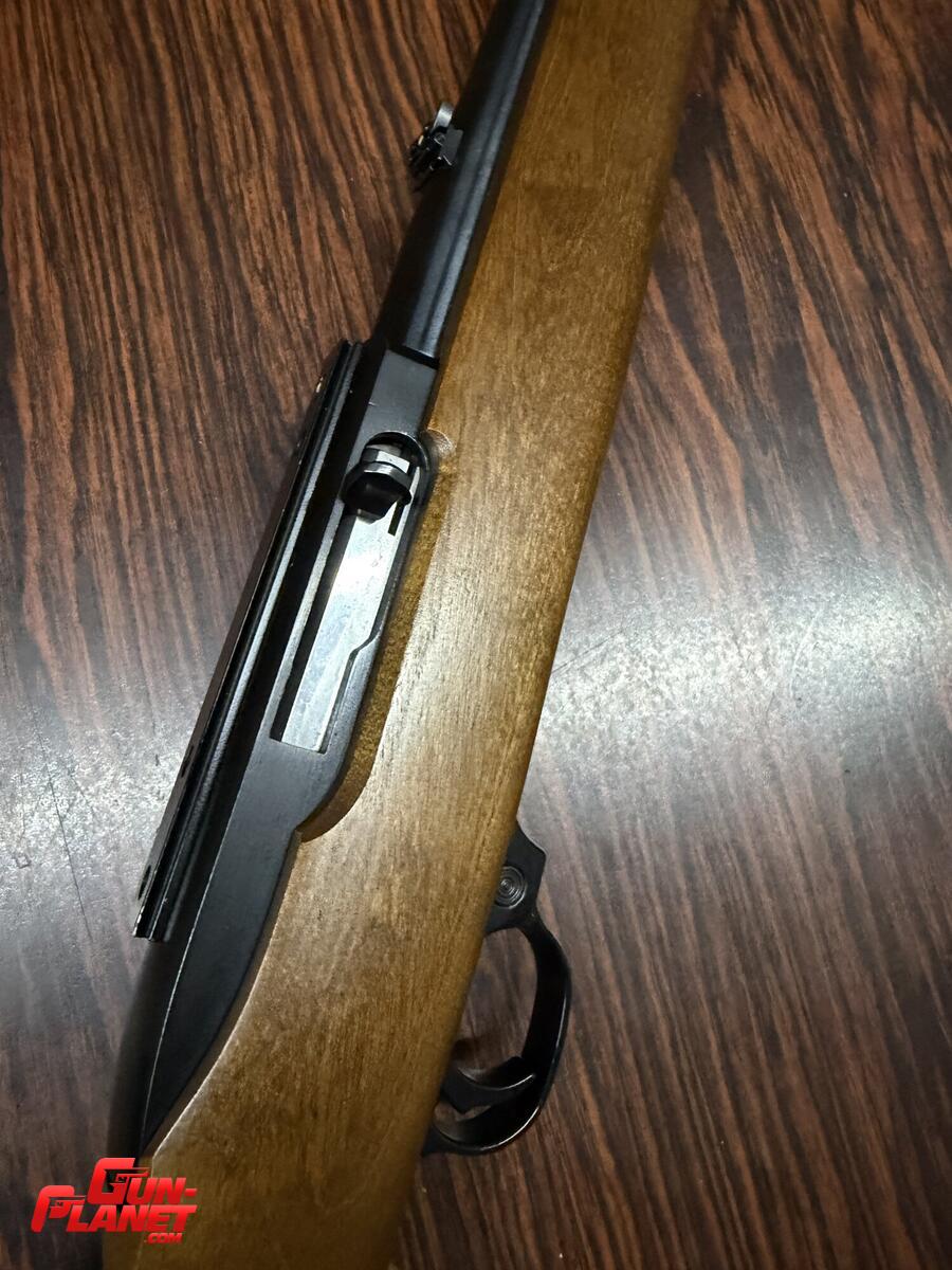 Ruger 10/22