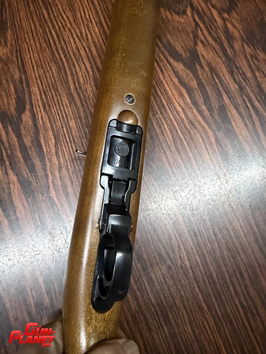 Ruger 10/22