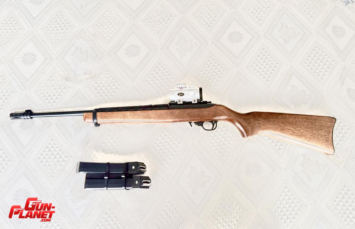 Ruger 1022
